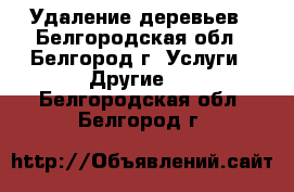Удаление деревьев - Белгородская обл., Белгород г. Услуги » Другие   . Белгородская обл.,Белгород г.